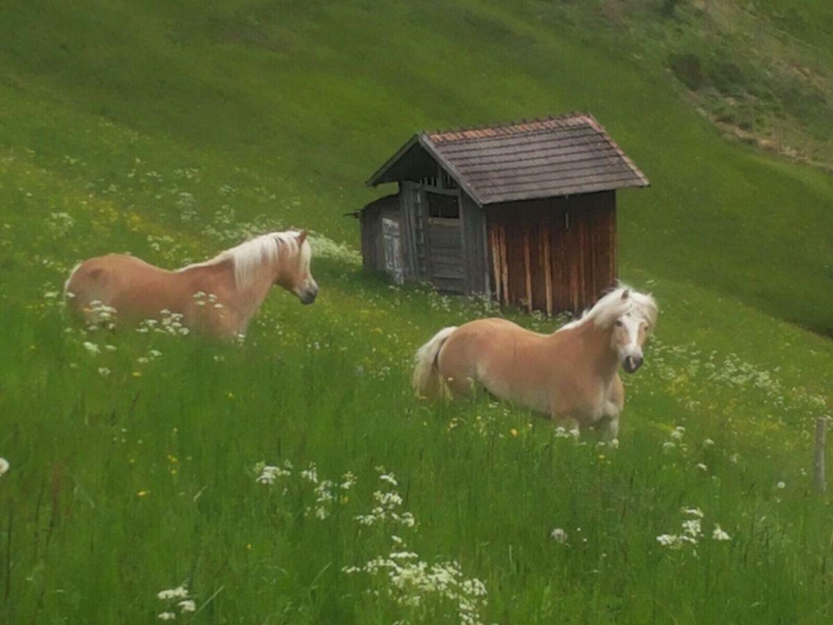 Apart.Pitztal Arzl im Pitztal Εξωτερικό φωτογραφία