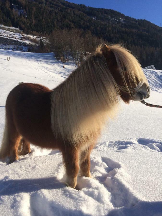 Apart.Pitztal Arzl im Pitztal Εξωτερικό φωτογραφία