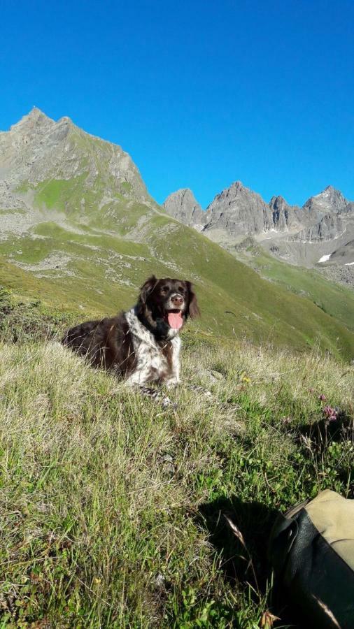 Apart.Pitztal Arzl im Pitztal Εξωτερικό φωτογραφία